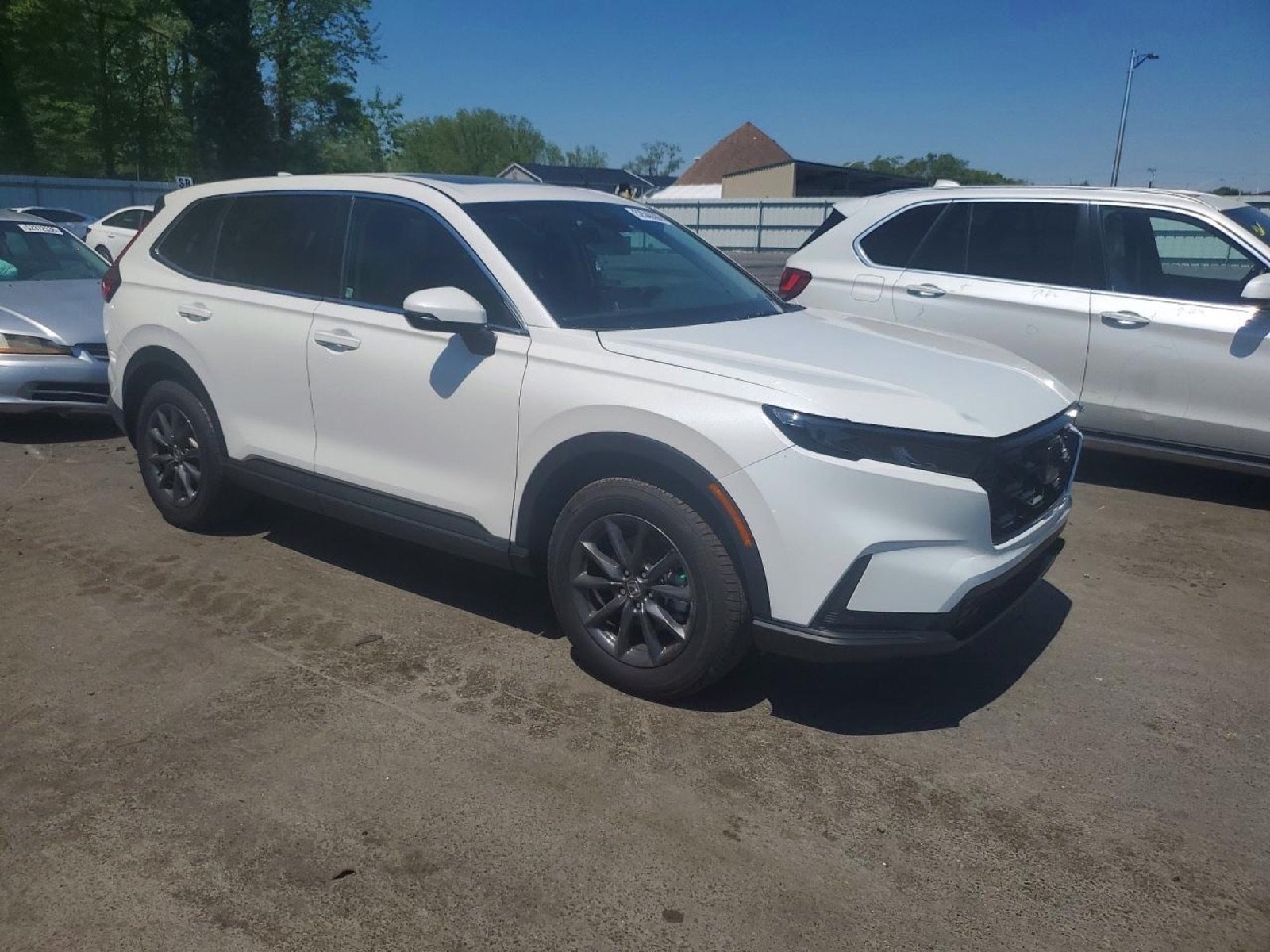 Additional photograph of 2026 Honda CR-V EX-L
