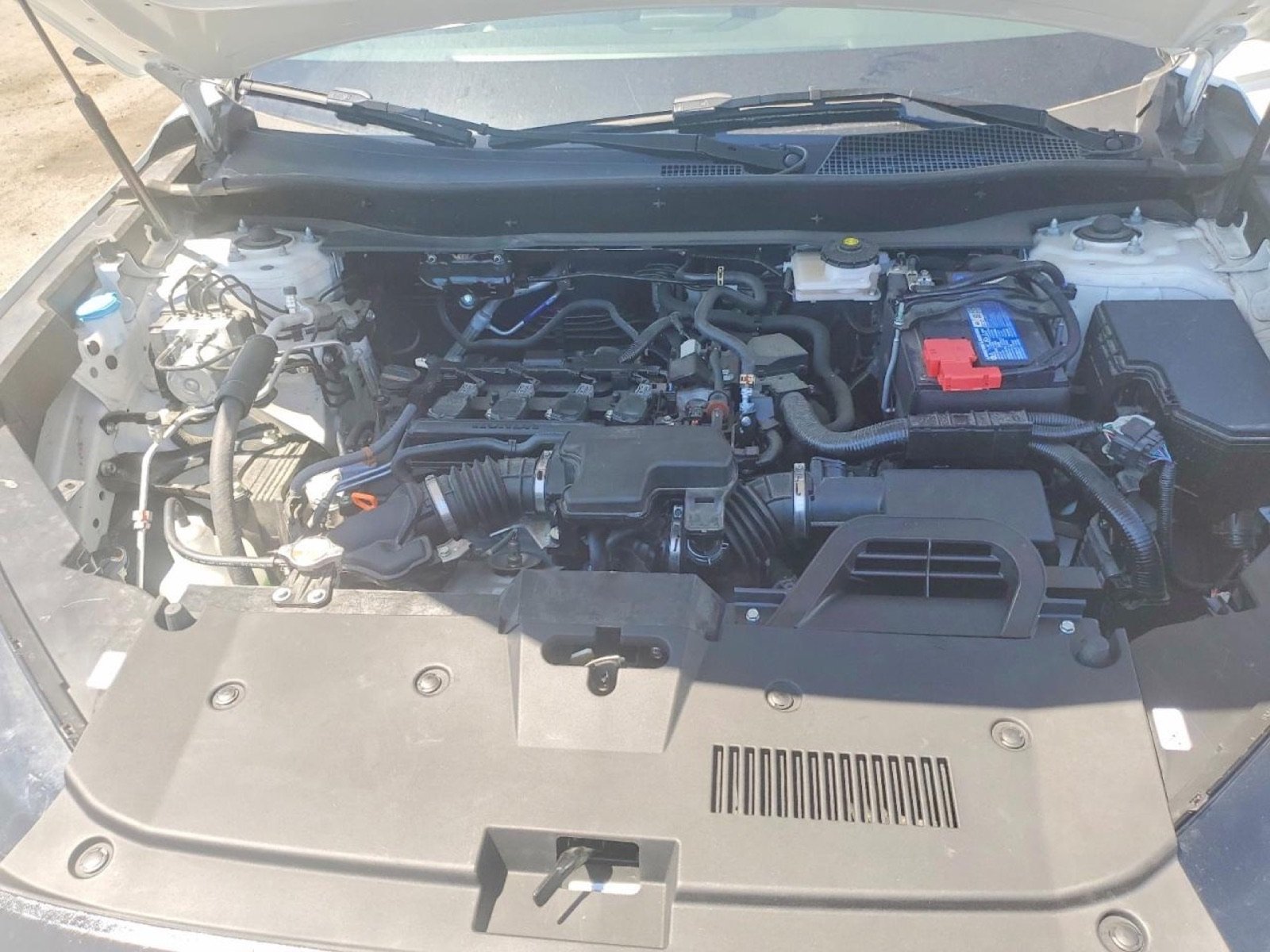 Additional photograph of 2026 Honda CR-V EX-L