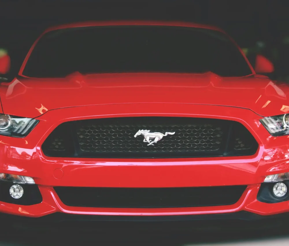 pexels-avinashpatel-544542