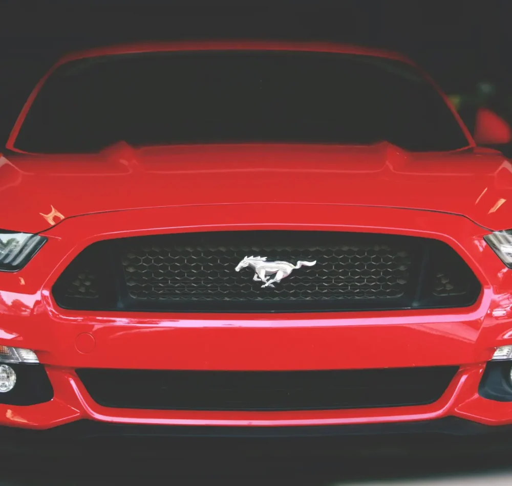 pexels-avinashpatel-544542