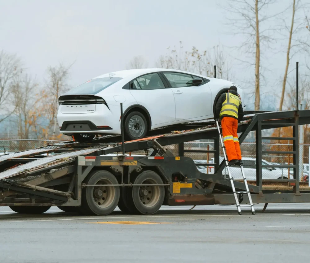 pexels-bylukemiller-29566910