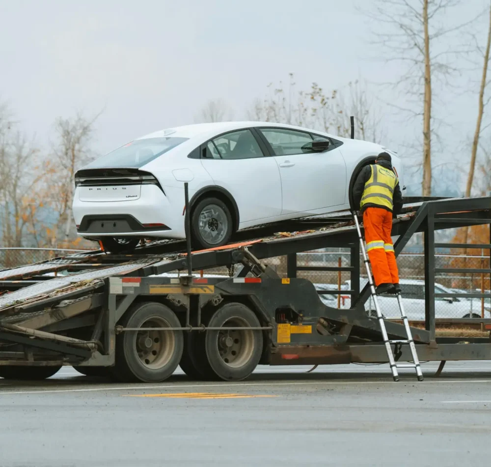 pexels-bylukemiller-29566910