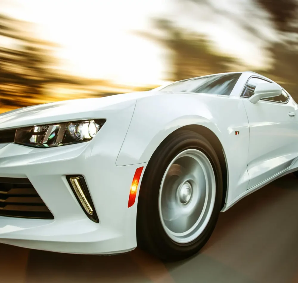 pexels-jessef11-1213294