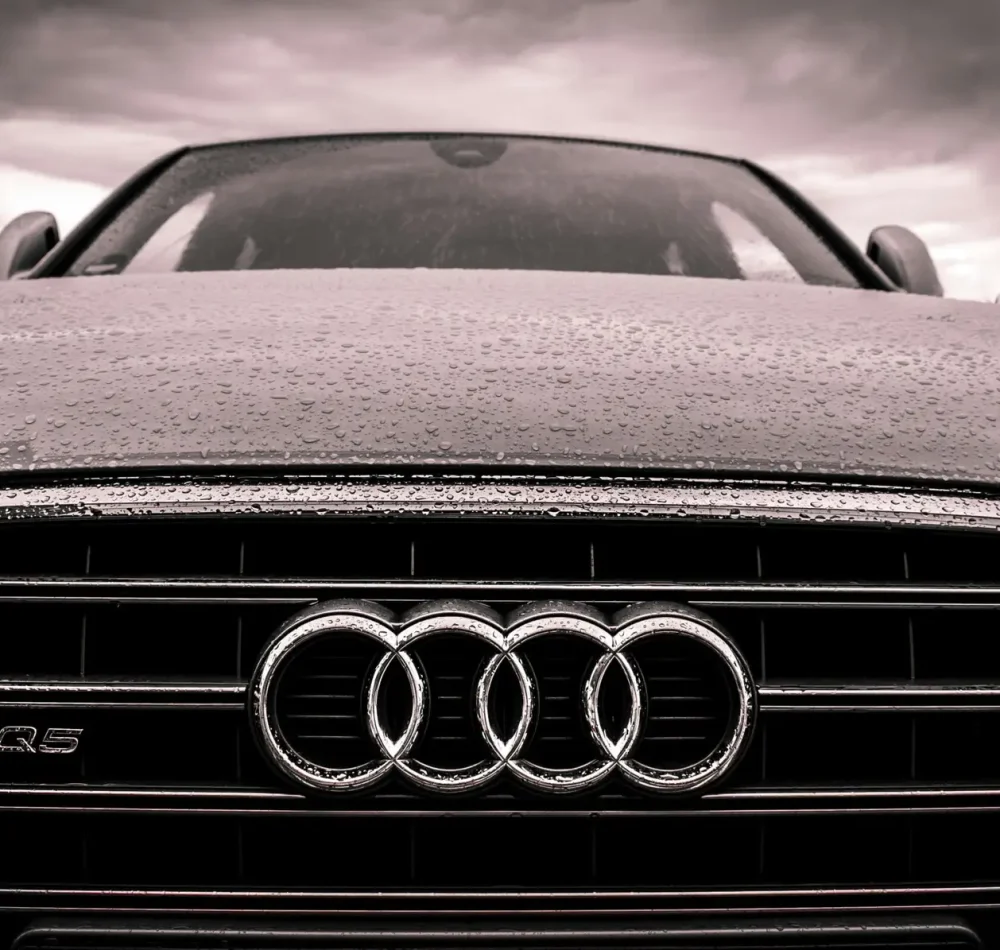 pexels-lalesh-168938 (1)