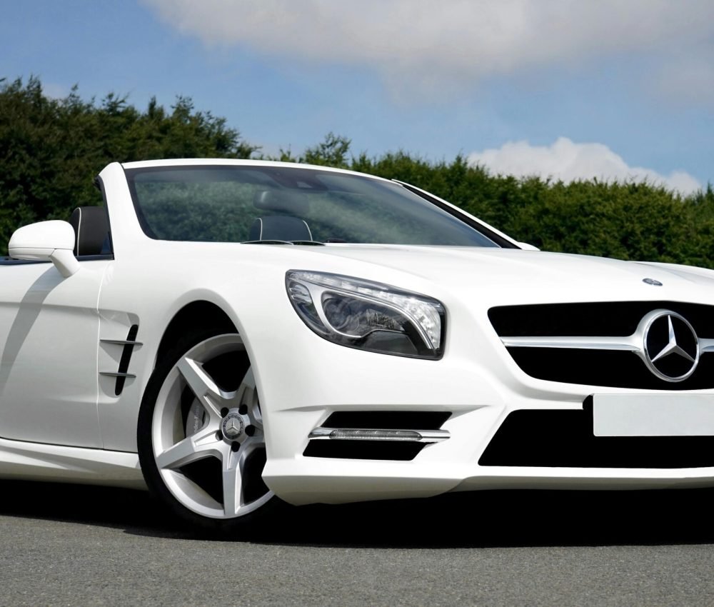 pexels-mikebirdy-136872