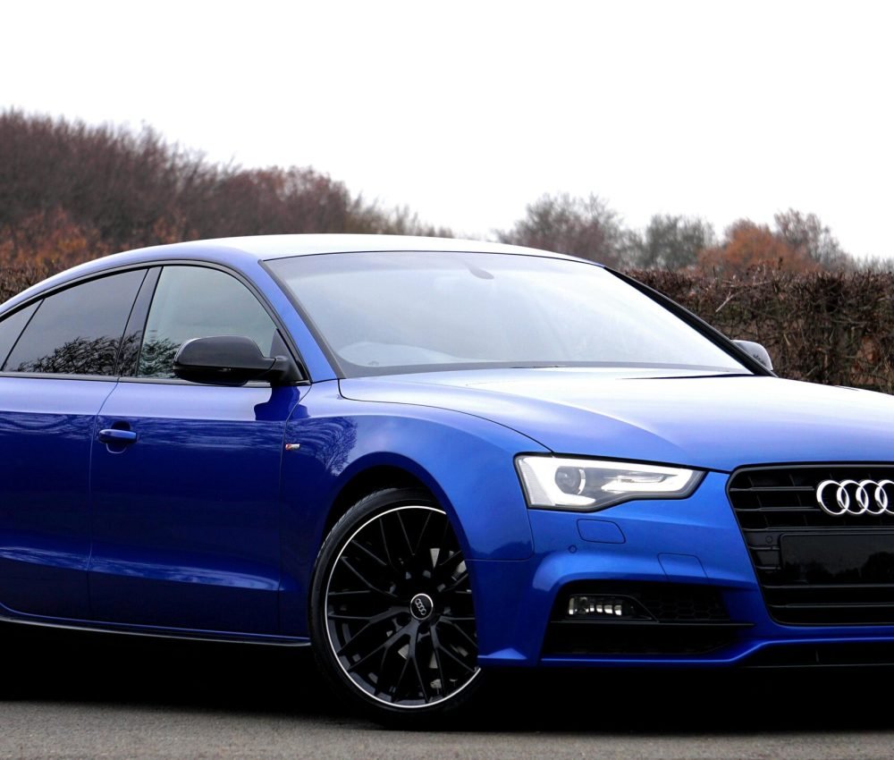 pexels-mikebirdy-244206