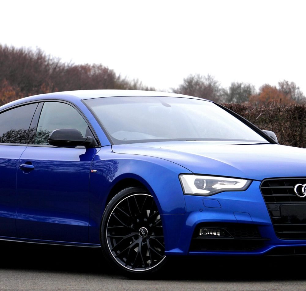 pexels-mikebirdy-244206