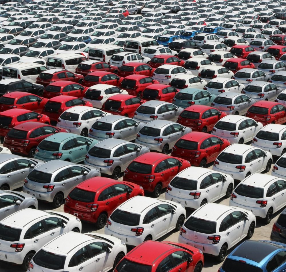 pexels-renato-rocca-2397962-5800943