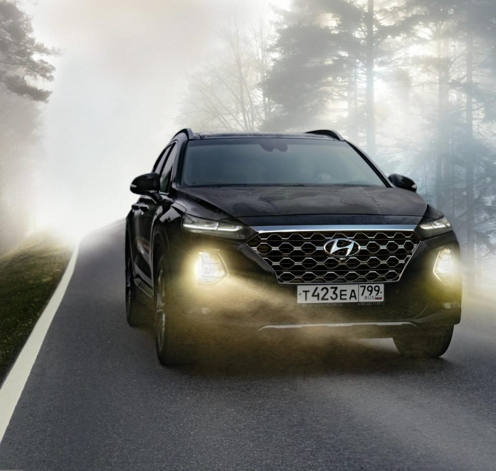 pexels-svonhorst-2920064